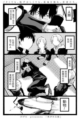 Kogareru Ookami cover
