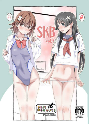SKB vol. 2 cover