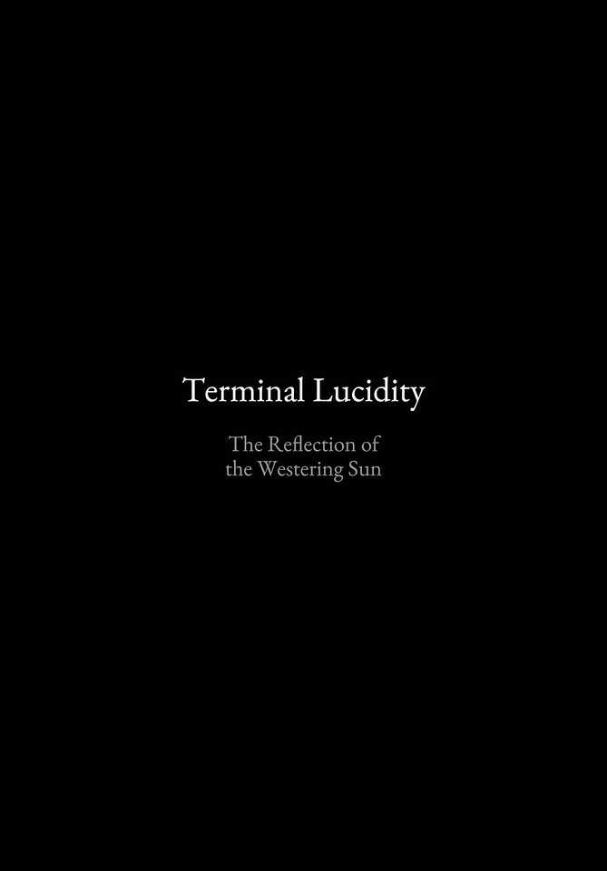 Terminal Lucidity page 3 full