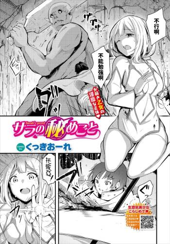 Sara no Himegoto cover