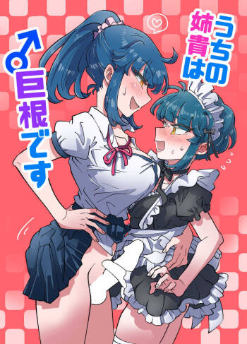 うちの姉貴は巨根です cover