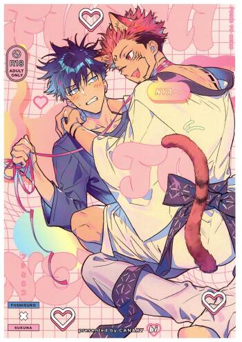 FUSHI TO NEKO cover