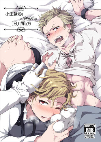 Konamaiki na Jinrou Kyoudai no Tadashii Kaikata cover