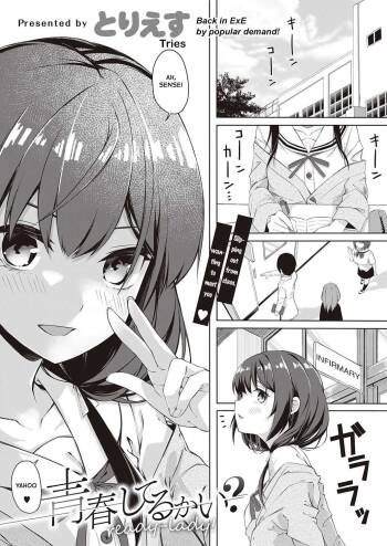 Seishun Shiterukai? ready-lady! cover