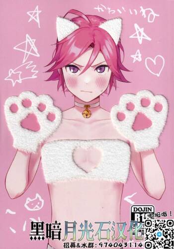 Kawaii Neko Haku-chan cover