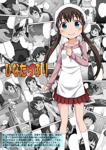 Hina tappuri cover