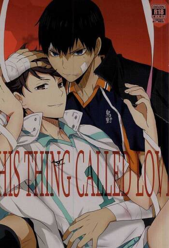 此名为爱 THIS THING CALLED LOVE cover