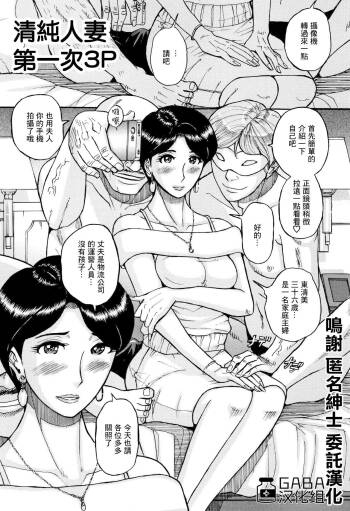 Seiso na Hitozuma Hajimete no 3P | 清纯人妻的第一次3p cover
