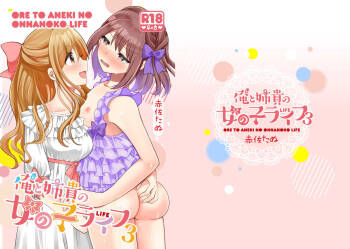 Ore to Aneki no Onnanoko Life 3 cover
