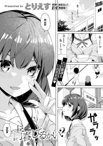 Seishun Shiterukai? ready-lady! cover
