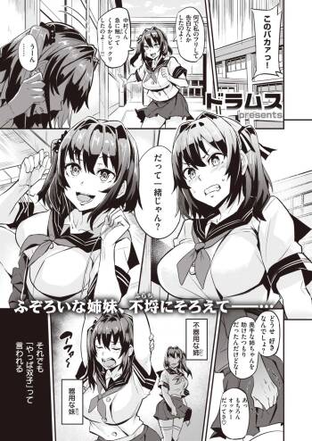 Dual Swap cover