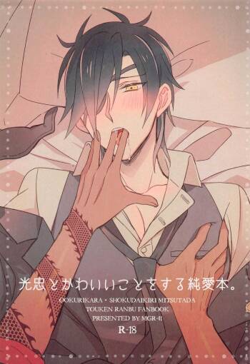 mitsutadatokawaiikotosurujunaibon。 cover