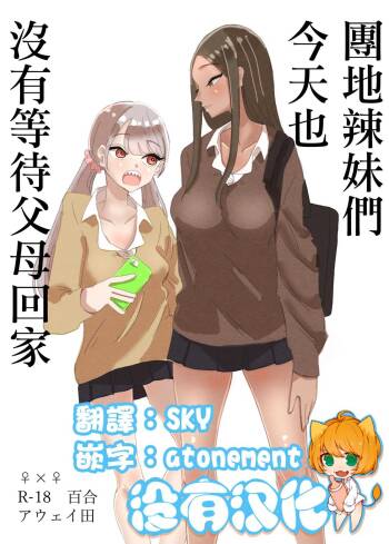 Danchi Gyaru wa Kyoumo Oya no Kaeri wo Matsutei Nai 丨團地辣妹們今天也沒有等待父母回家 cover