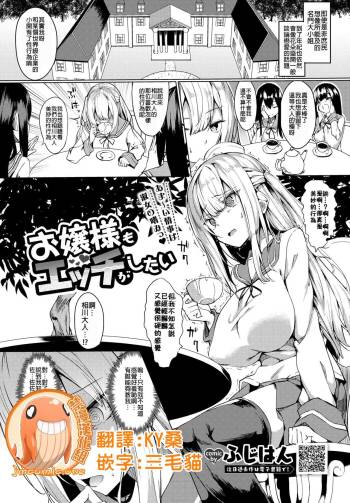 Ojou-sama mo Ecchi ga Shitai cover