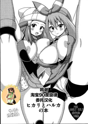 Hikari to Haruka no Hon cover