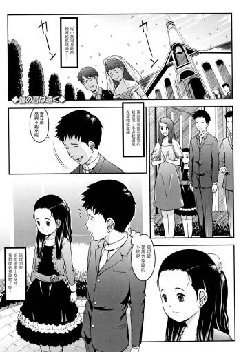鐘の音は遠く    中文翻譯 cover