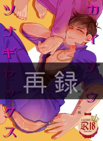 Kaizou Tsunagi Sekkusu cover
