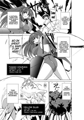 Dungeon Travelers cover