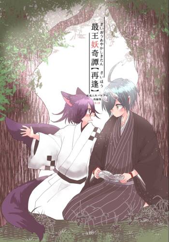 Web Sairoku cover