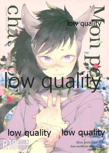 Mon petit chat noir cover