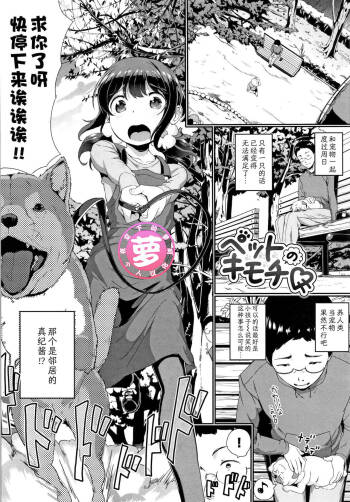 Pet no Kimochi || 宠物的感觉 cover