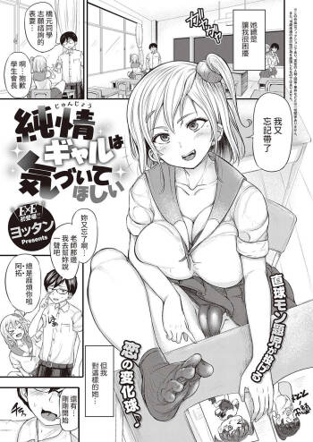Junjou Gal wa Kiduite Hoshii cover