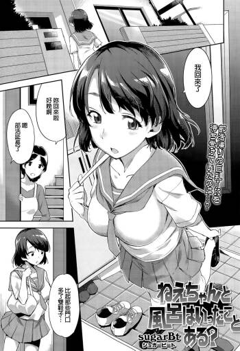 Nee-chan to Furo wa Itta Koto Aru? cover