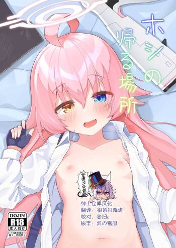 Hoshino Kaerubasho cover