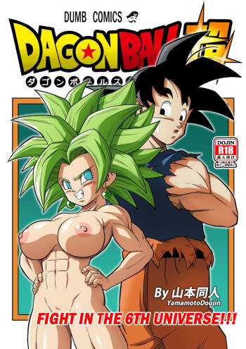 Fight in the 6th Universe!!! cover