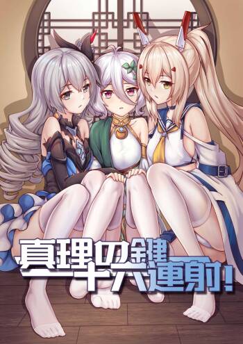 真理之键十六连射 cover