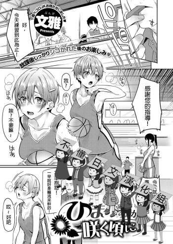 Himawari no Saku Koro ni cover