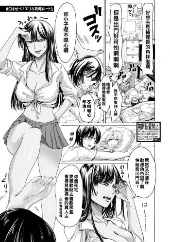 Erika Kouryaku Route! cover