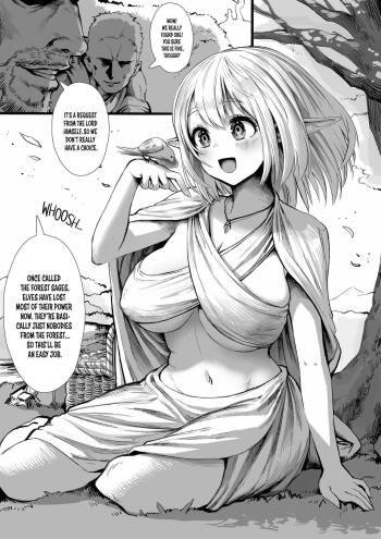 Elf‘s Past cover