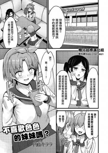 えっちな妹はお嫌いですか cover
