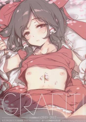 GRAFFITI summary 2015-2017 cover