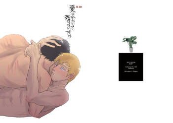 Aisa Retakute Shinanai Dake / Serirei Web Sairoku cover