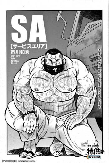 Service Area SA cover