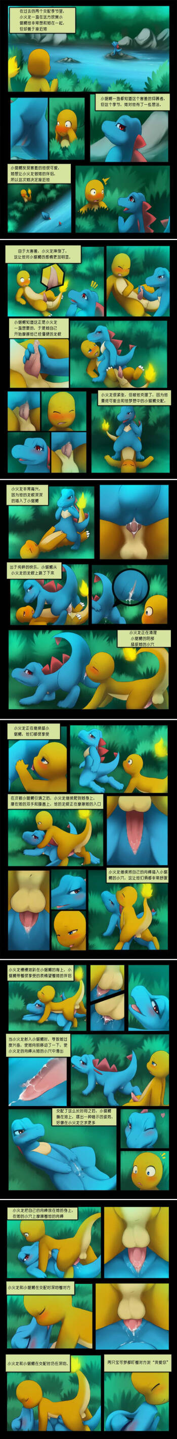 charmander X totodile cover