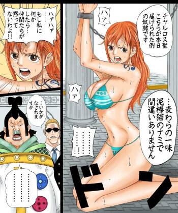 ナミさん漫画 cover