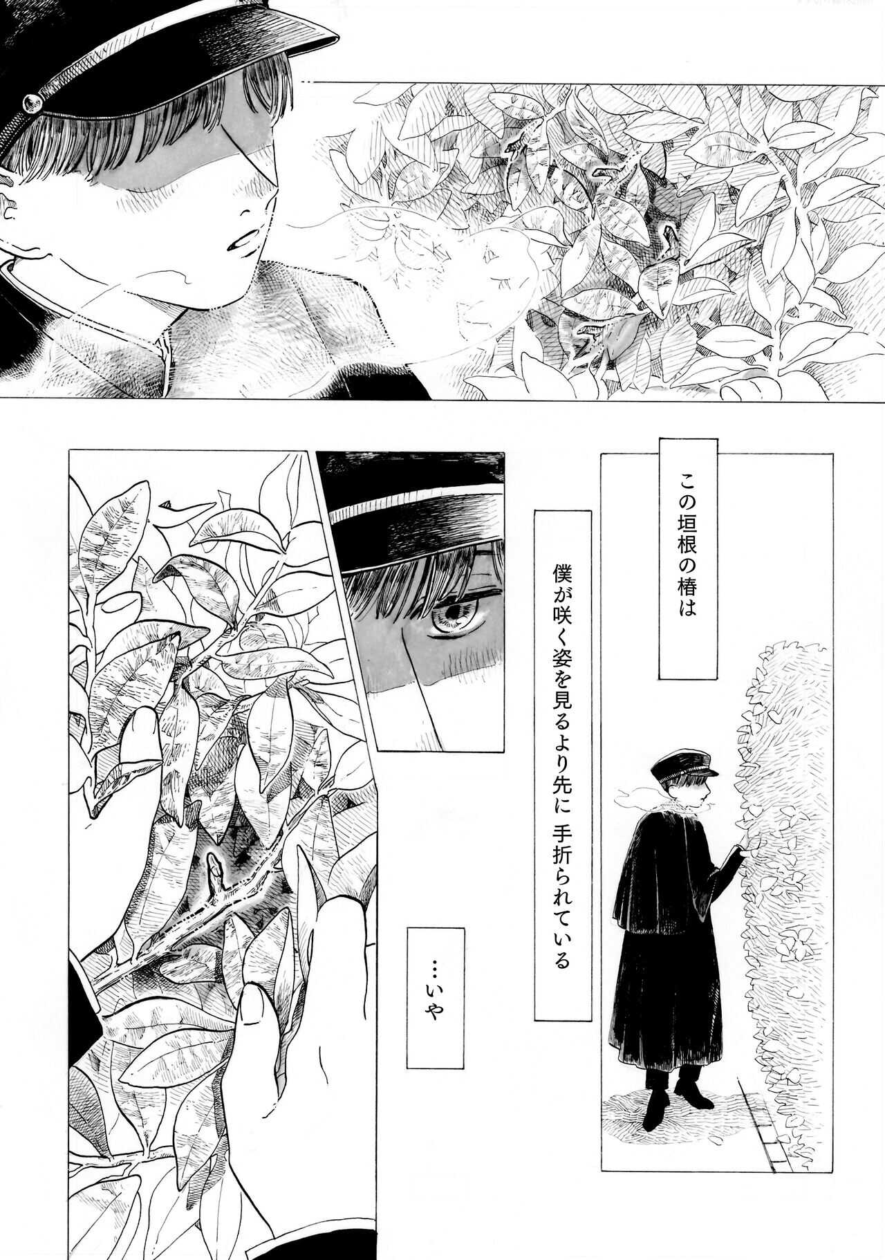 Warau Camellia page 2 full