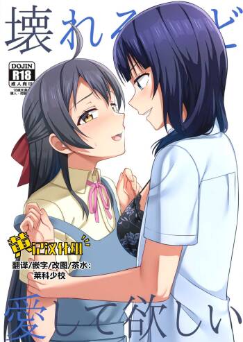 Kowareru Hodo Aishite Hoshii | 撕裂、爱、欲望 cover