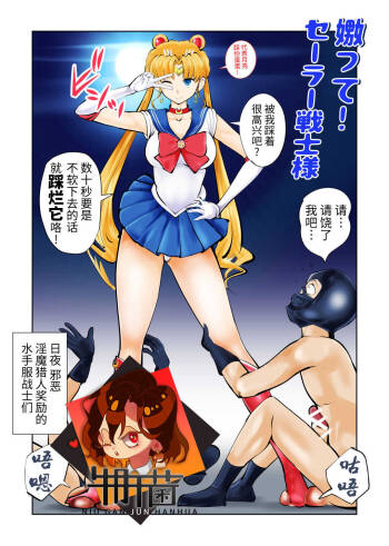 Nabutte! Sailor Senshi-sama cover