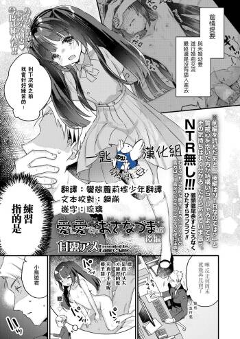 Aishi Aisare Osanazuma  Kouhen cover