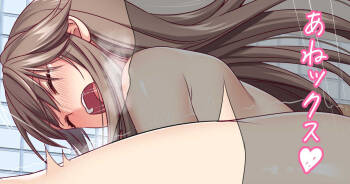 Anex 2 cover