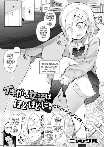Ikigaru Josou wa Hodohodo ni cover