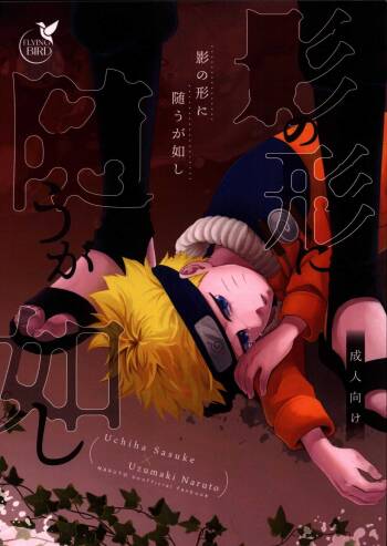 Kage no katachi ni zuiugagotoshi 【tokutenzuke】 cover