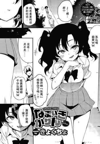 Namaiki Karin after cover