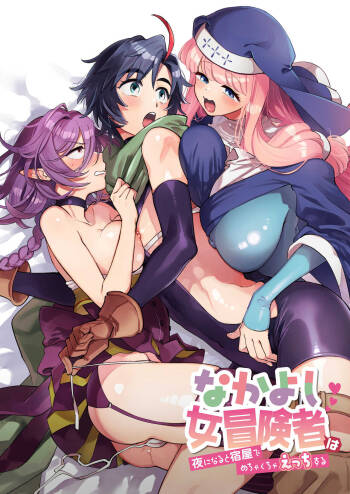 Nakayoshi Onna Boukensha wa Yoru ni Naru to Yadoya de Mechakucha Ecchi Suru cover