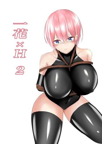 一花×H 2 cover