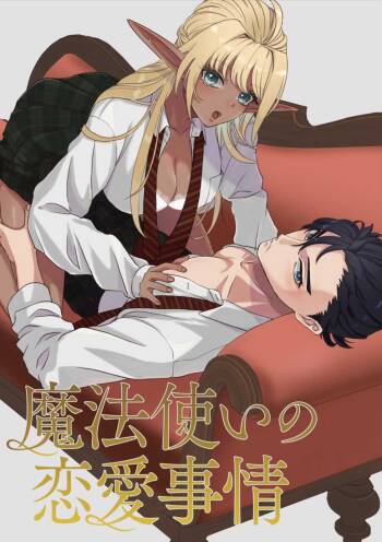 Wizard‘s love affairs cover